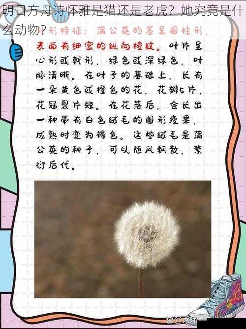 外貌特征与习性