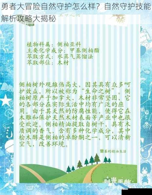  勇者大冒险自然守护怎么样？自然守护技能解析攻略大揭秘