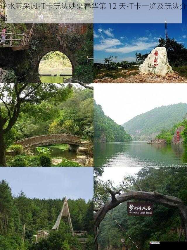 逆水寒采风打卡玩法妙染春华第 12 天打卡一览及玩法介绍