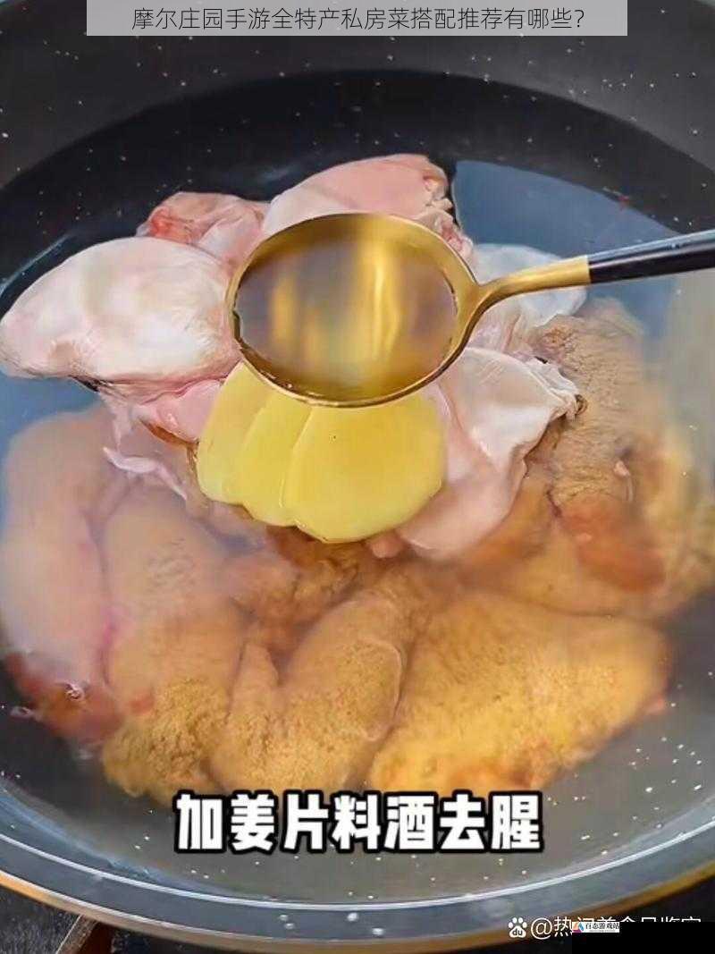  摩尔庄园手游全特产私房菜搭配推荐有哪些？