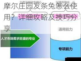  摩尔庄园发条兔怎么使用？详细攻略及技巧分享