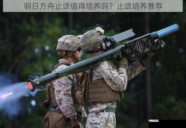 实战表现