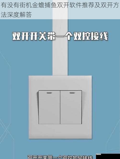 双开的影响和建议