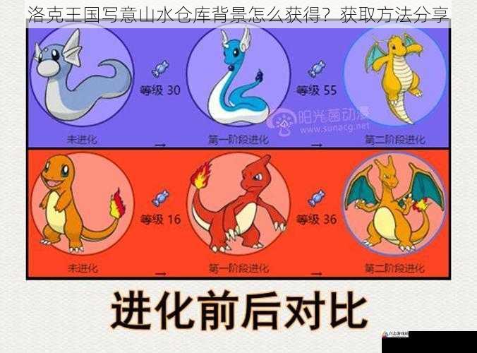 宠物进化