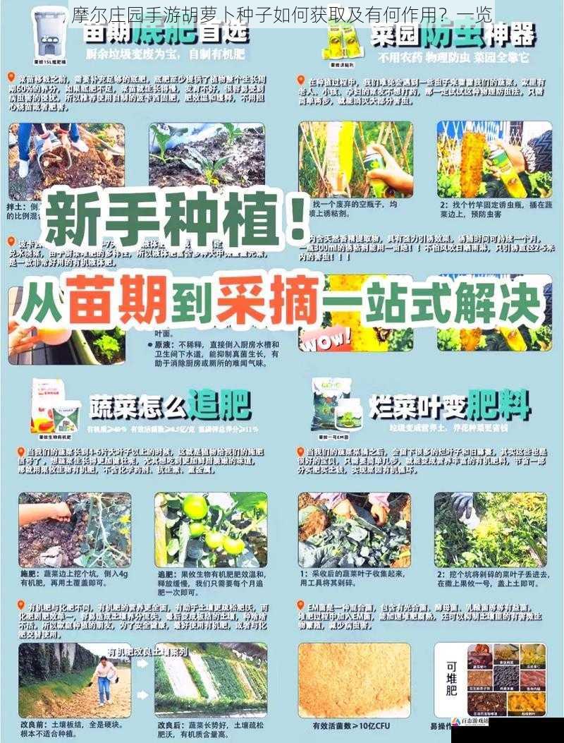种植获取途径