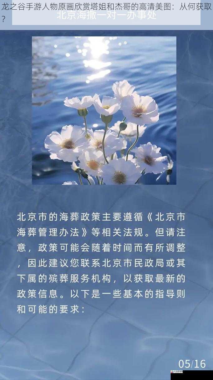  龙之谷手游人物原画欣赏塔姐和杰哥的高清美图：从何获取？