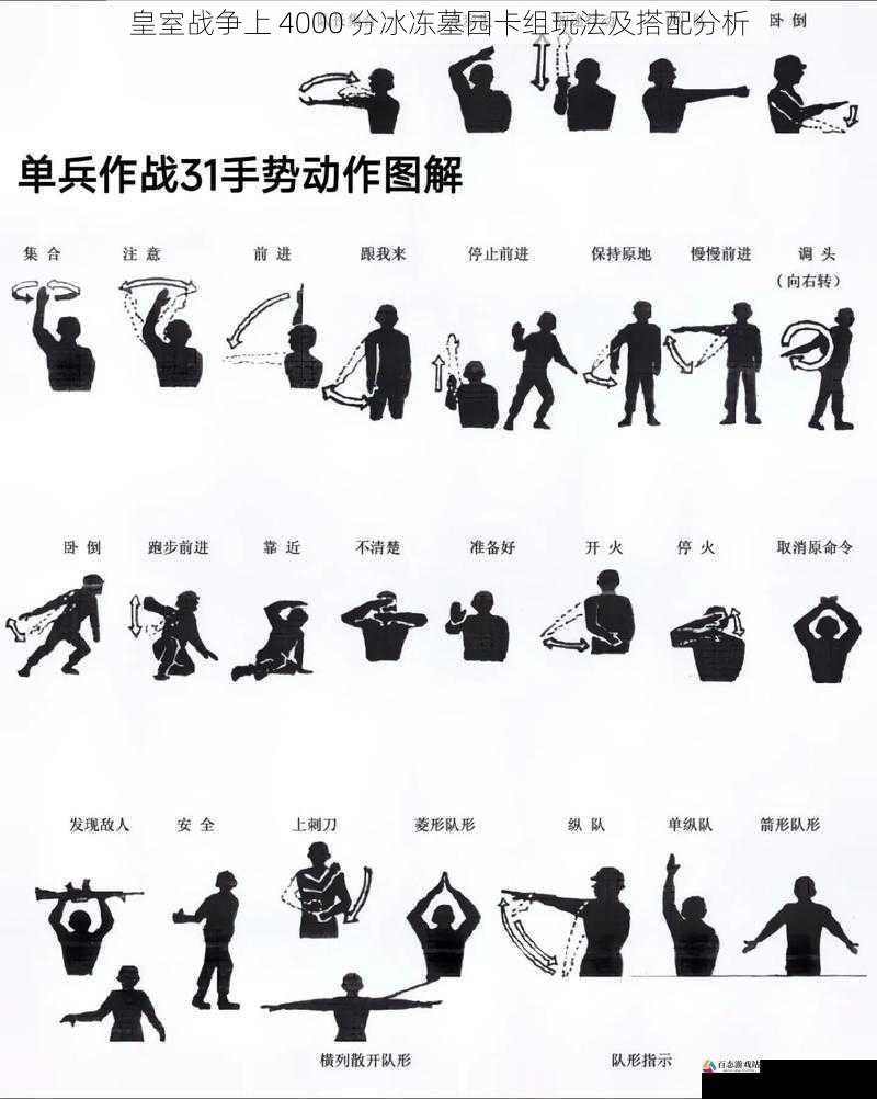 战术运用技巧
