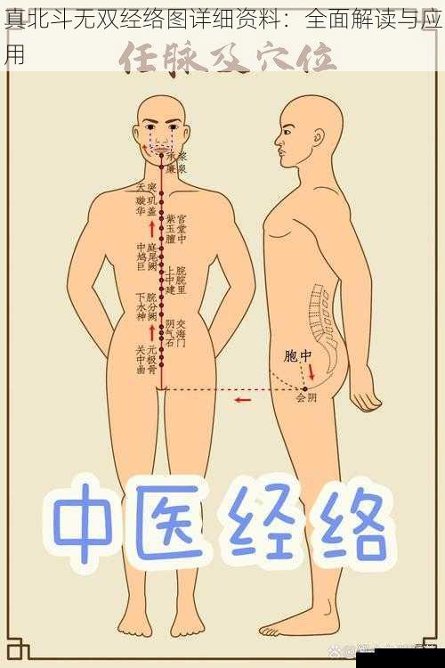 真北斗无双经络图详细资料：全面解读与应用