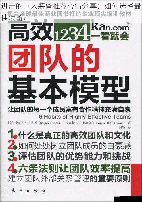 团队配合:选择适合团队的装备