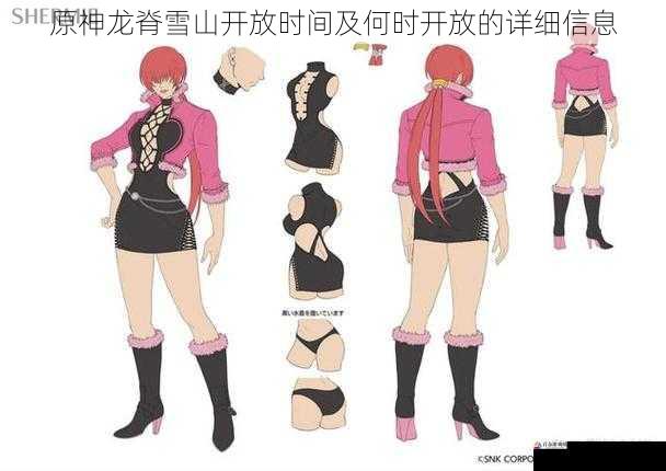 角色等级与开放限制