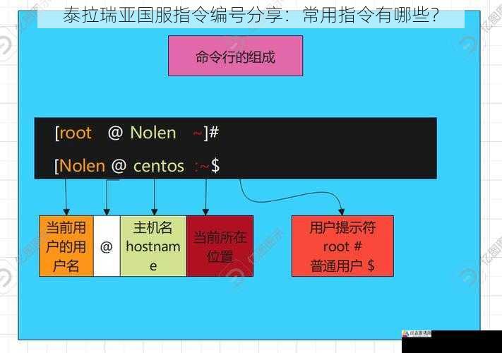 环境相关指令