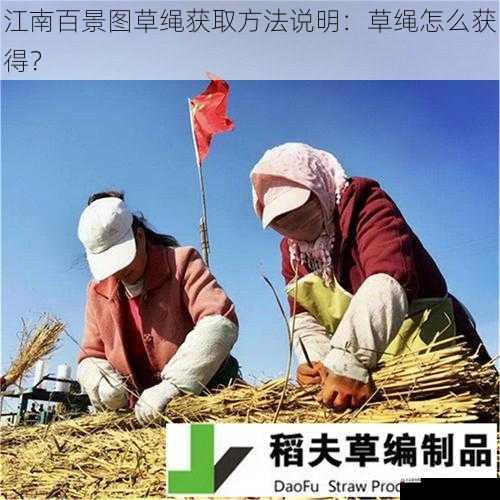 种植农作物获取草绳
