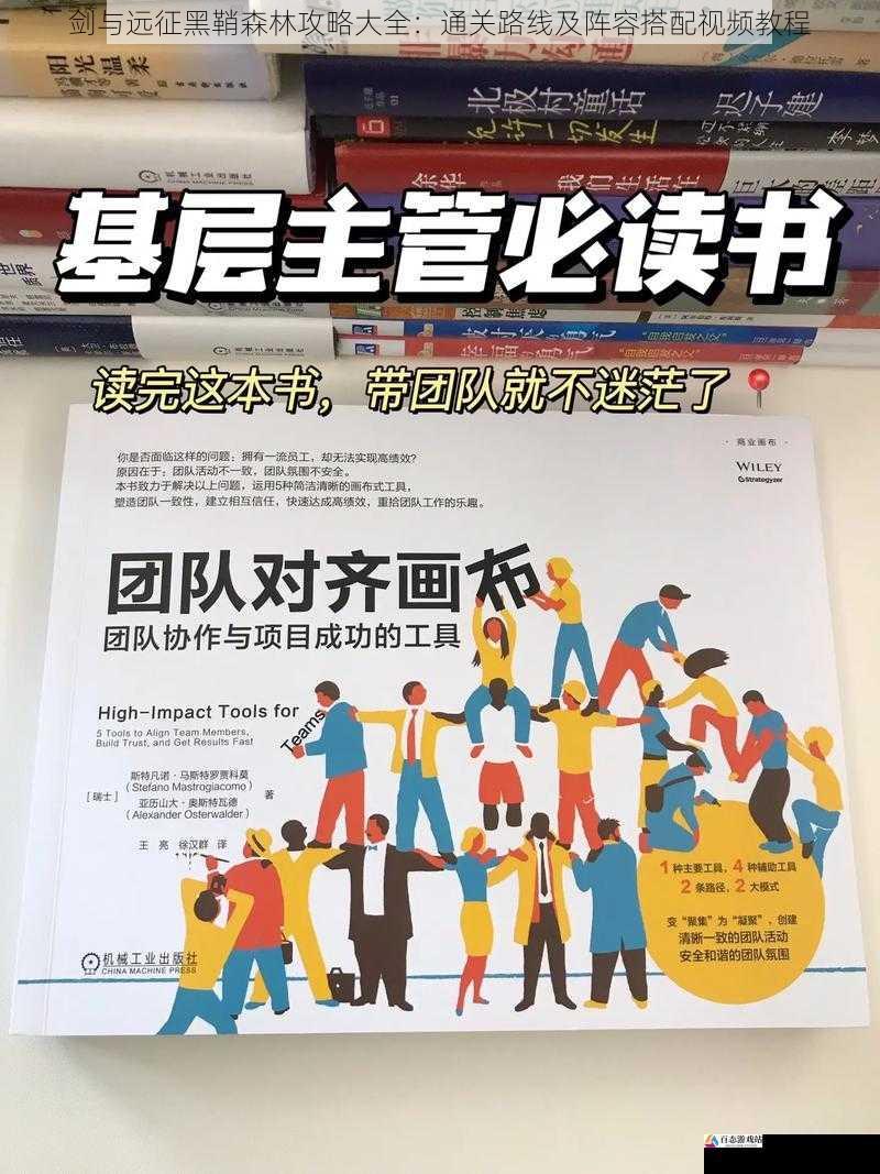 团队协作与战术运用
