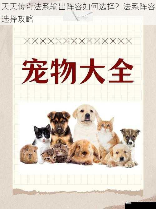 宠物选择