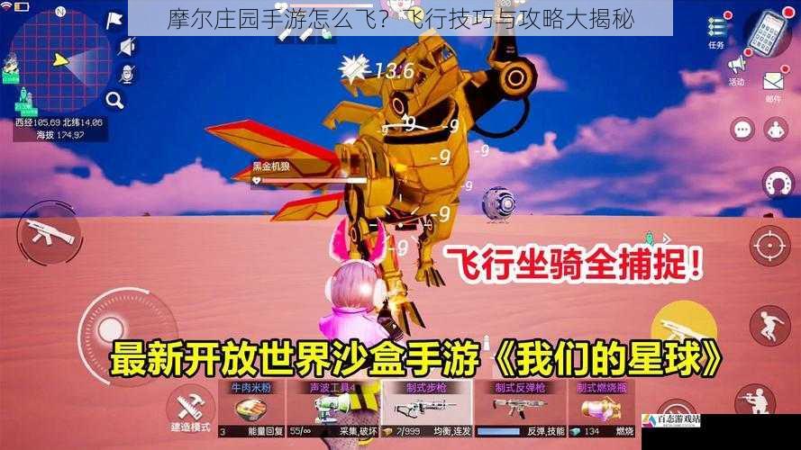 摩尔庄园手游怎么飞？飞行技巧与攻略大揭秘
