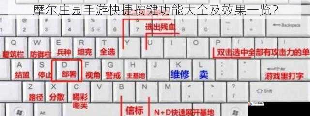 摩尔庄园手游快捷按键功能大全及效果一览？