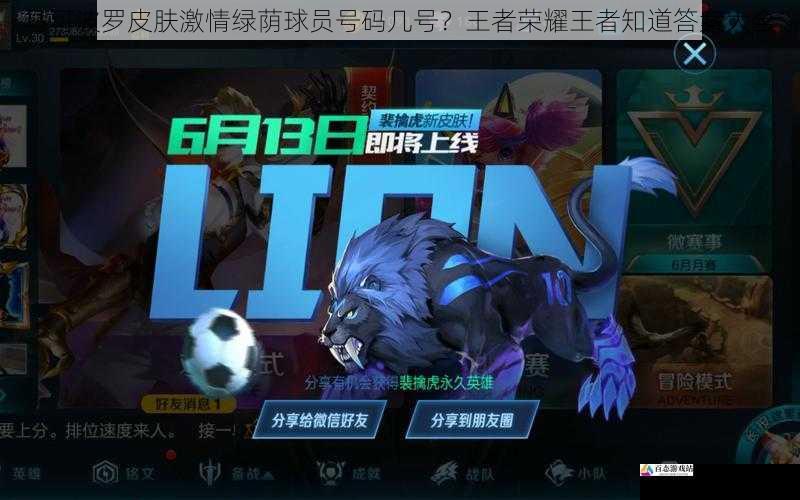 马可波罗皮肤激情绿荫球员号码几号？王者荣耀王者知道答案大全