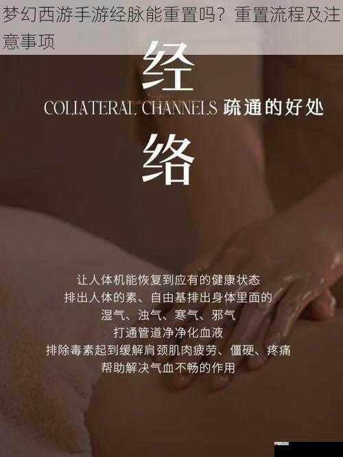 梦幻西游手游经脉能重置吗？重置流程及注意事项