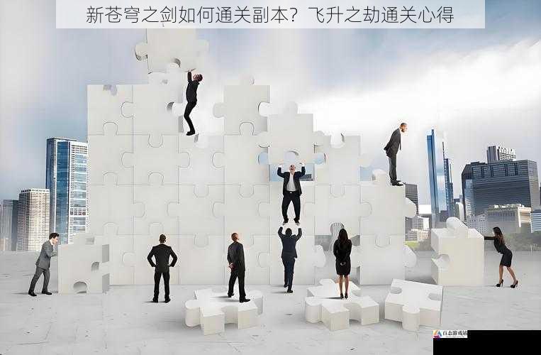 团队协作:默契配合与分工