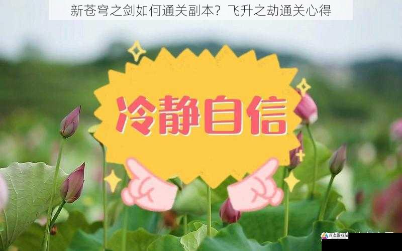 心态调整:保持冷静与耐心