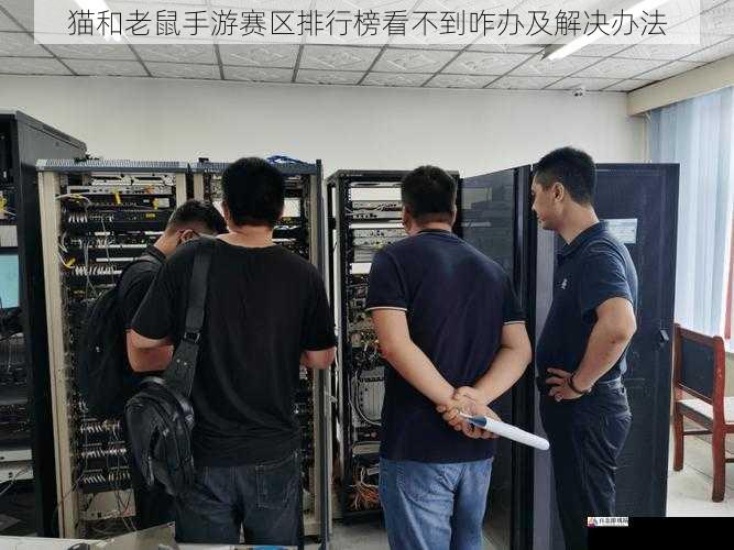 猫和老鼠手游赛区排行榜看不到咋办及解决办法