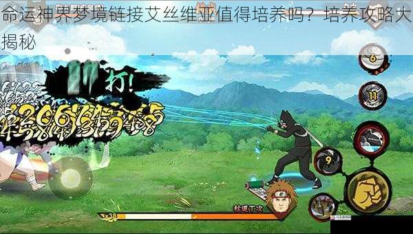 副本表现:高效通关不可或缺