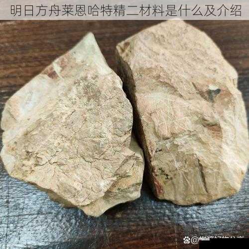  明日方舟莱恩哈特精二材料是什么及介绍