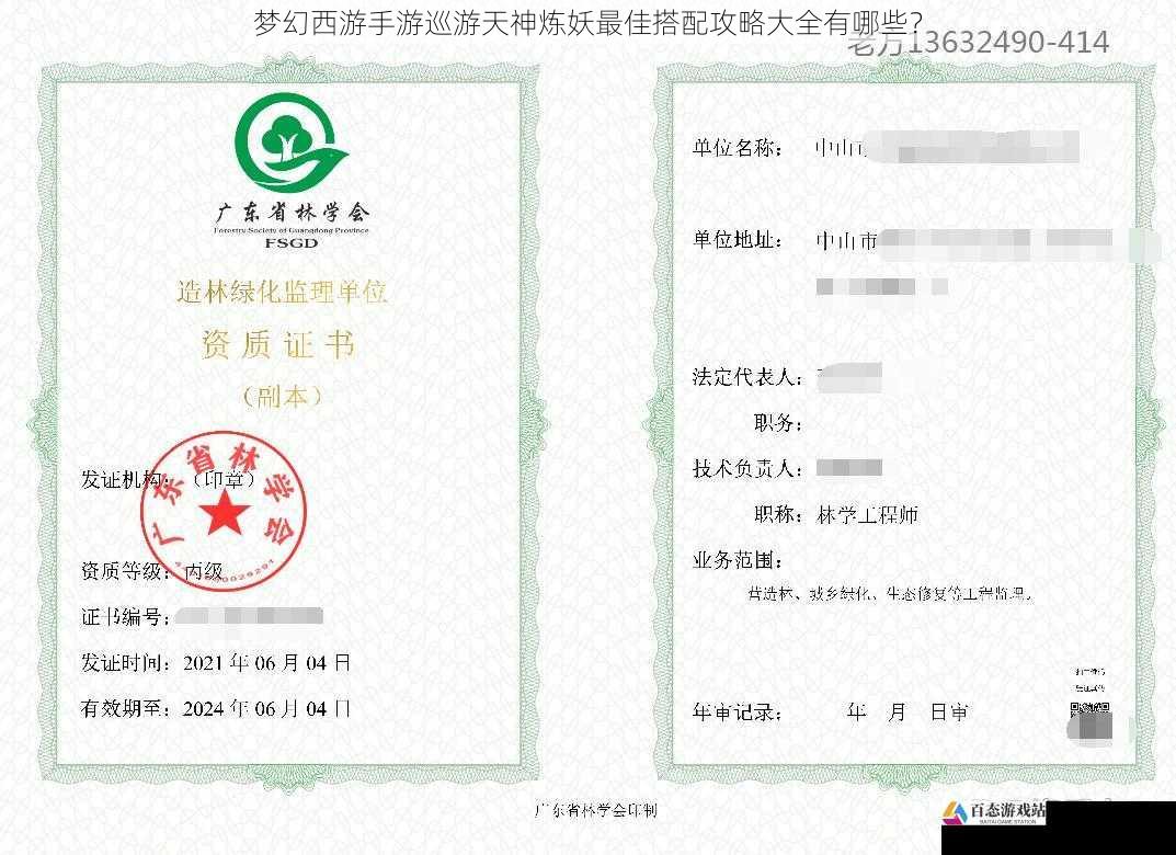  梦幻西游手游巡游天神炼妖最佳搭配攻略大全有哪些？