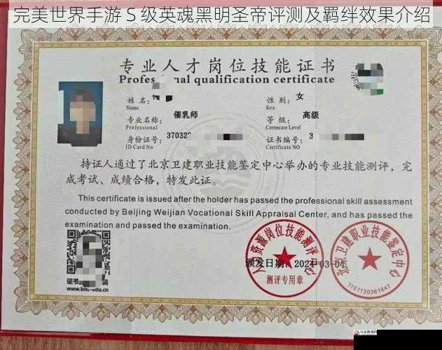 技能评测