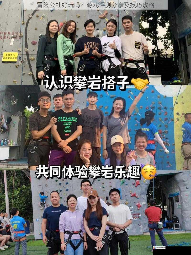 社交互动:热闹且充满乐趣