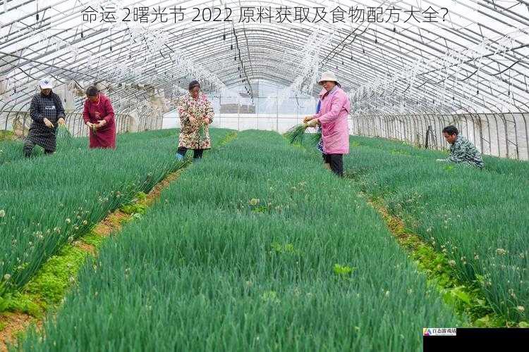 命运 2曙光节 2022 原料获取及食物配方大全？