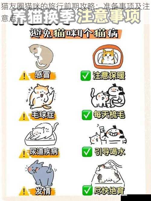猫友圈猫咪的旅行前期攻略：准备事项及注意点