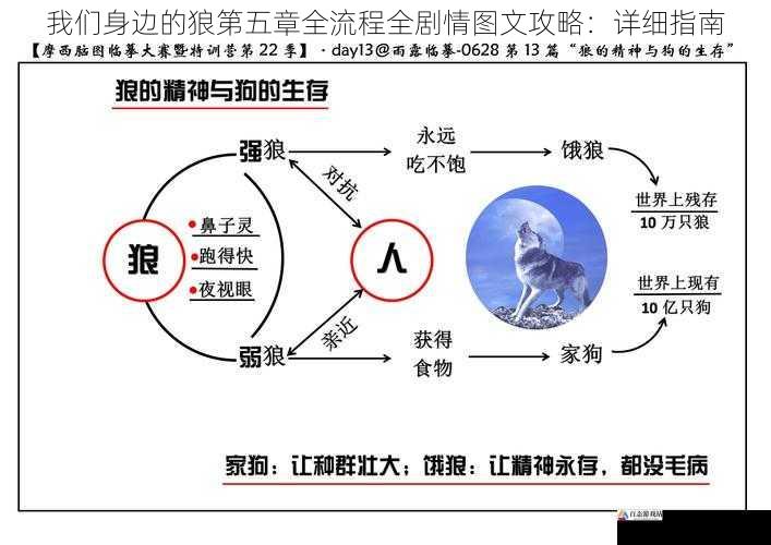 我们身边的狼第五章全流程全剧情图文攻略：详细指南