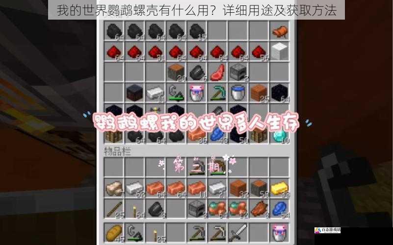 我的世界鹦鹉螺壳有什么用?详细用途及获取方法