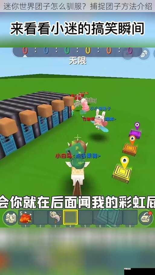 迷你世界团子怎么驯服?捕捉团子方法介绍