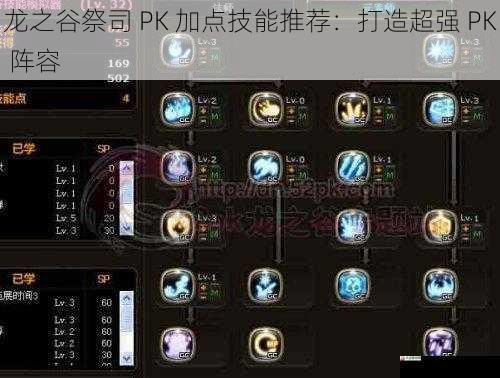  龙之谷祭司 PK 加点技能推荐：打造超强 PK 阵容