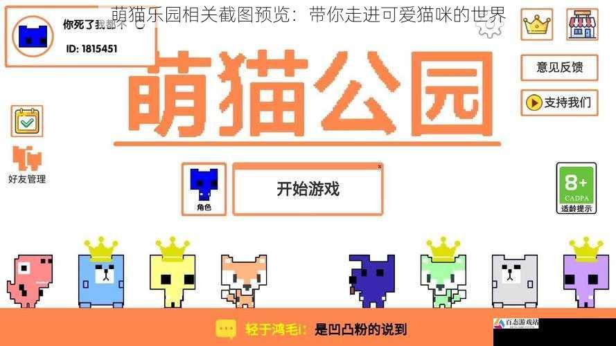  萌猫乐园相关截图预览：带你走进可爱猫咪的世界