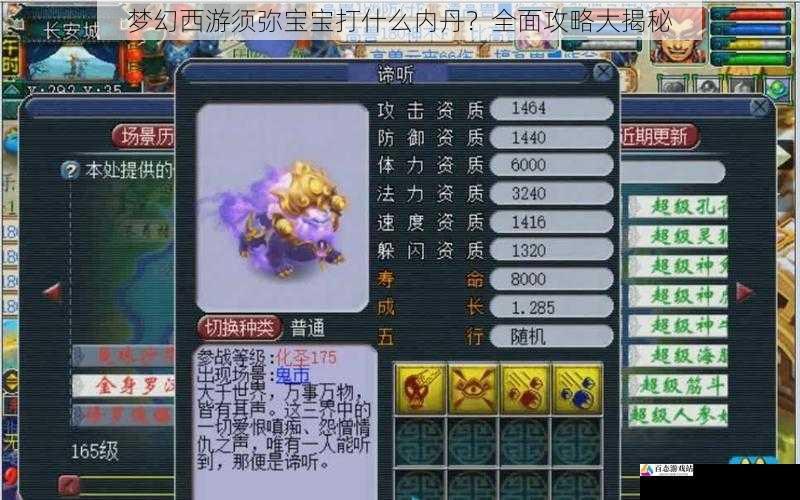 梦幻西游须弥宝宝打什么内丹？全面攻略大揭秘