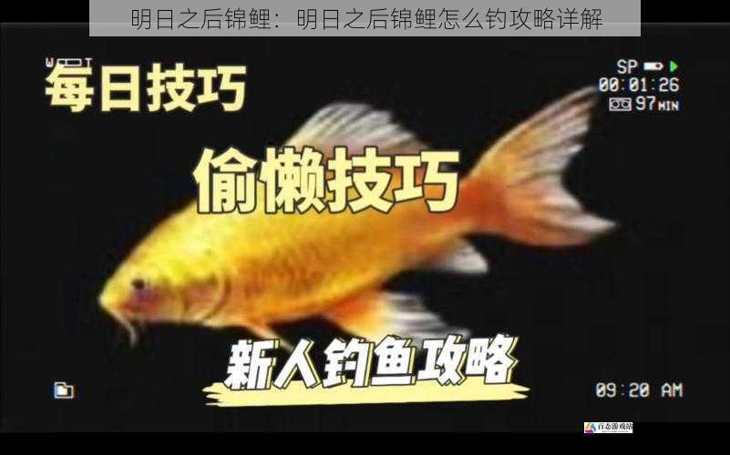 明日之后锦鲤:明日之后锦鲤怎么钓攻略详解