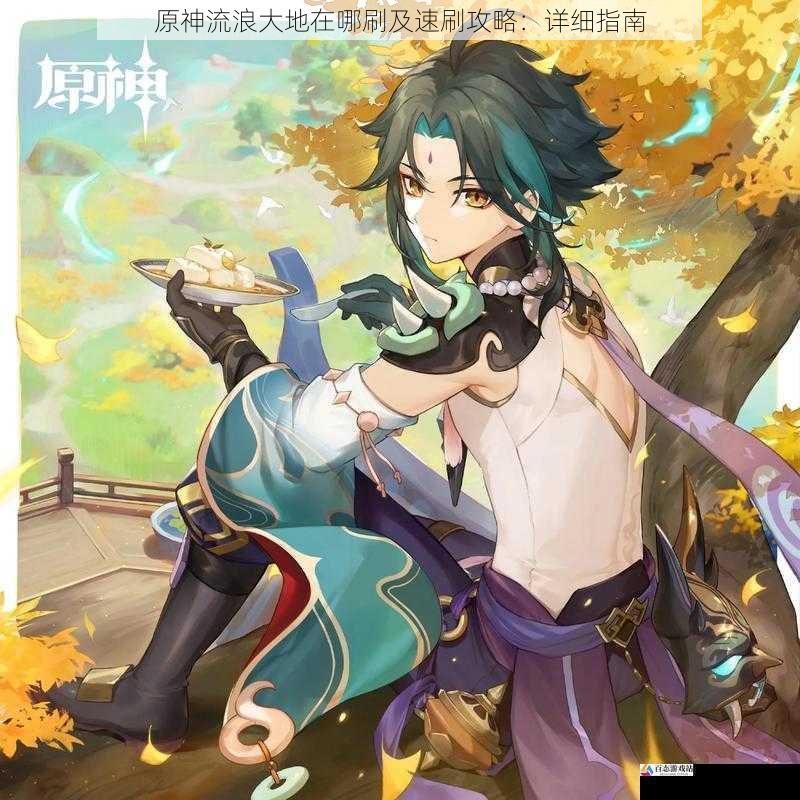 原神流浪大地在哪刷及速刷攻略:详细指南