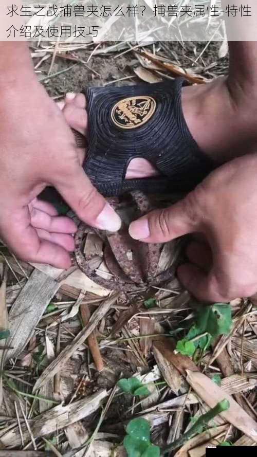 求生之战捕兽夹怎么样?捕兽夹属性-特性介绍及使用技巧