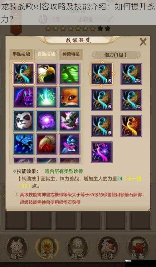 龙骑战歌刺客攻略及技能介绍:如何提升战力?
