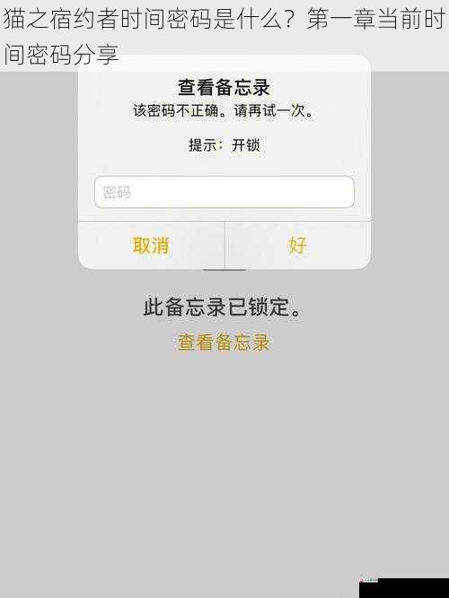 猫之宿约者时间密码是什么?第一章当前时间密码分享