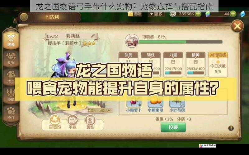  龙之国物语弓手带什么宠物？宠物选择与搭配指南