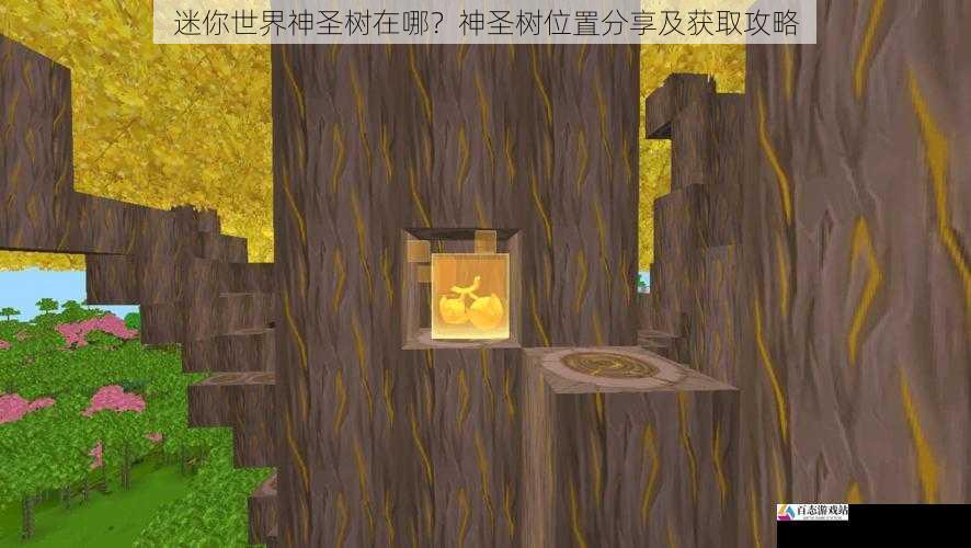 迷你世界神圣树在哪?神圣树位置分享及获取攻略