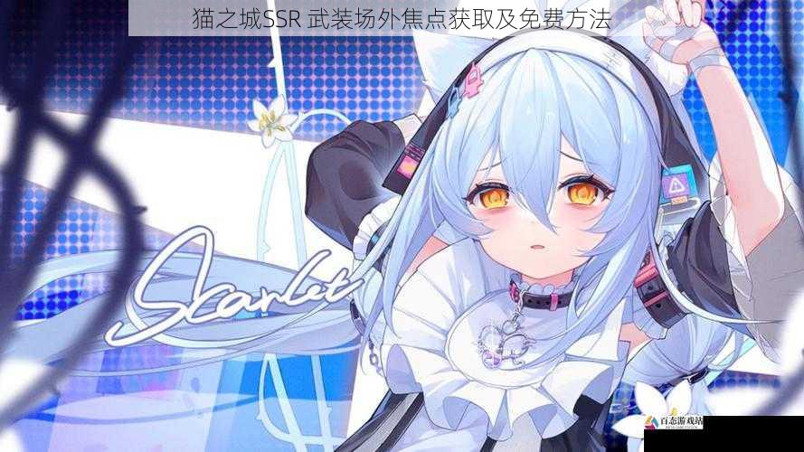  猫之城SSR 武装场外焦点获取及免费方法