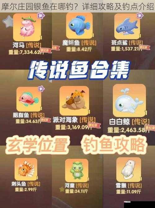 摩尔庄园银鱼在哪钓？详细攻略及钓点介绍