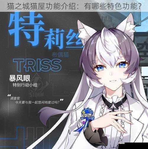 猫之城猫屋功能介绍:有哪些特色功能?
