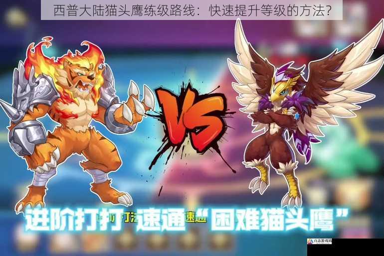 西普大陆猫头鹰练级路线:快速提升等级的方法?