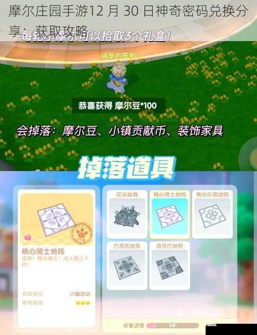  摩尔庄园手游12 月 30 日神奇密码兑换分享：获取攻略